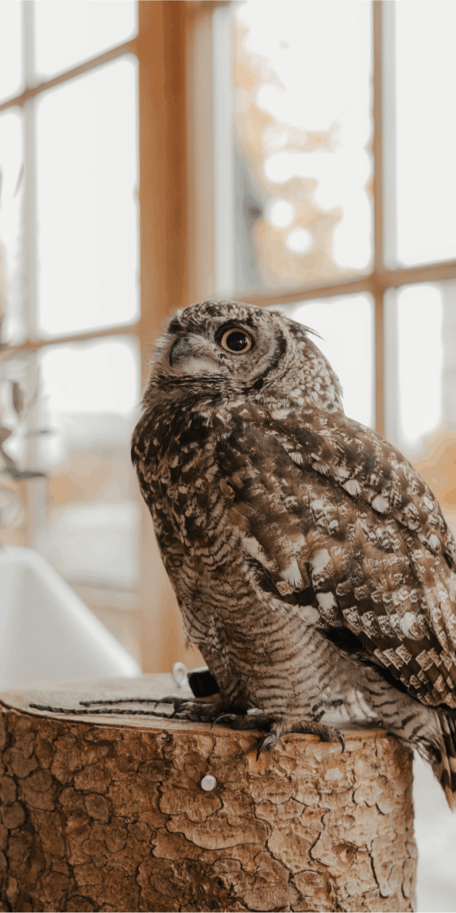 Hochzeitsplanung Starnberg